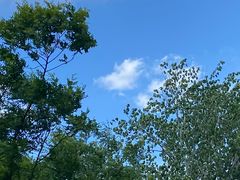 -中关村烤包子(中关村店)