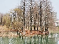 -白塘生态植物园