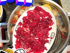 嫩肉-八合里潮汕鲜牛肉火锅(深圳海岸城店)
