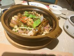 -点都德·毕德寮