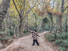 -虞山风景区