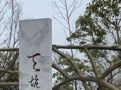 -百色大石围天坑群