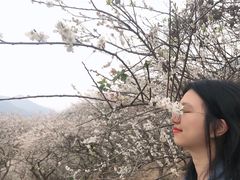 -广州市流溪河国家森林公园