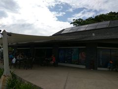 -东姑阿都拉曼海洋公园