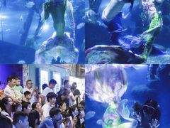 -南昌海洋公园