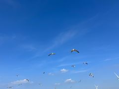 -那香海钻石沙滩浴场