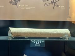 -河姆渡遗址博物馆