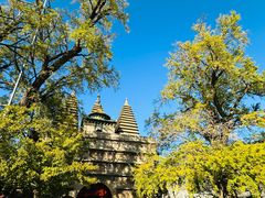 -北京石刻艺术博物馆(五塔寺)