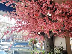 -巴乡石锅鱼(密云店)