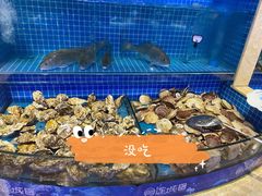 -乔哥铭洋海鲜自助(皇城恒隆广场店)