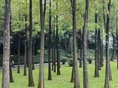 -晓港公园