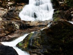 -海南热带雨林国家公园吊罗山景区