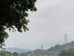 -风云岭森林公园