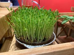 鲜豆苗-好彩猪肚鸡(正弘城店)