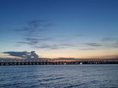 -宝安西湾红树林湿地公园