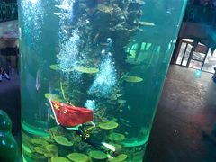 -青岛嘉年华主题乐园
