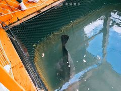 -蓝湾碧波·老字号·疍家非遗海上餐厅