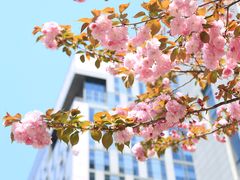 -苏州河梦清园环保主题公园