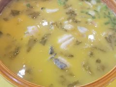 -胖大姐黄辣丁鱼庄(新津店)