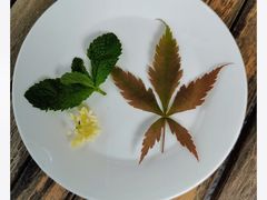 -Division Coffee除法咖啡(时代芳华里店)