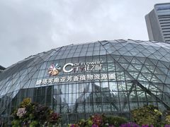 -花之城