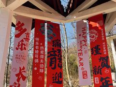 -南京老山国家森林公园