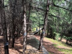 -苏木山森林公园