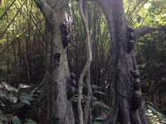 iphone_upload_pic-东部华侨城