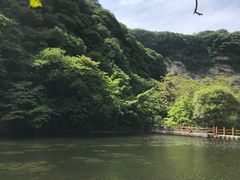 -少华山国家森林公园