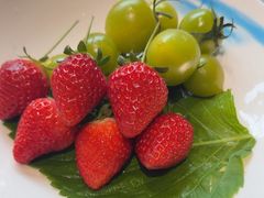 -77号渔船·蒸海鲜青岛菜(积米崖店)