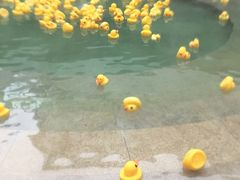 -苏州湾王焰温泉度假酒店