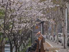 -西北湖绿化广场