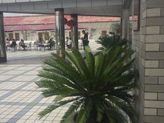 -洋县服务区-停车场