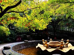 -杭州黄龙洞