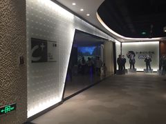 -纵横国际影城杜比全景声巨幕(天安云谷店)