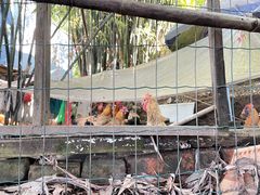 -南山植物园