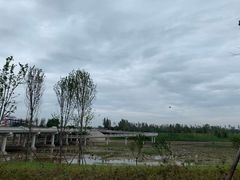 -秦岭风景区