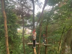 -芦仙山景区-飞越丛林探险乐园