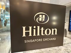 -新加坡乌节希尔顿酒店 (SG Clean)