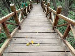 -大岭沟猕猴桃谷风景区