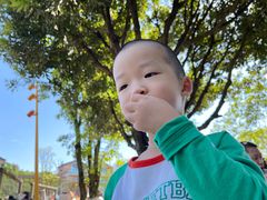 -铁山坪森林公园