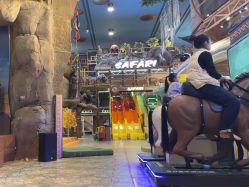 -卡通尼·Safari非洲探索乐园·生日会(金桥国际商业广场店)