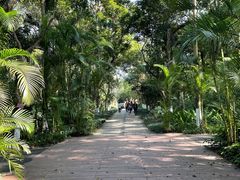 -广西壮族自治区药用植物园