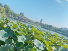 -西海子公园