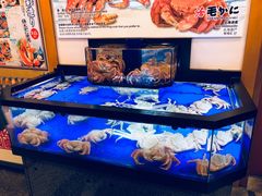 -蟹道乐(道顿堀本店)