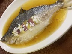 -东方明珠老上海8号餐厅(东方明珠广播电视塔店)