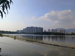 -飞来湖湿地公园