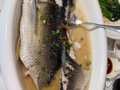 -陶缘一号·四季缘·老字号顺德菜·户外婚礼家宴(西滘店)