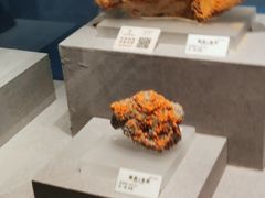 -贵州省地质博物馆