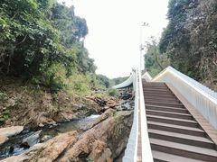 -梧桐山风景名胜区